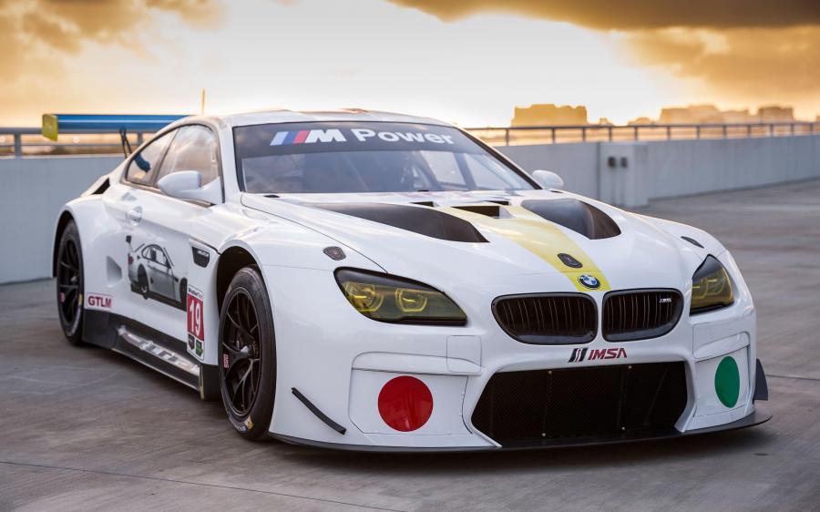 BMW M6 GTLM Art Car by John Baldessari (F13) '2016
